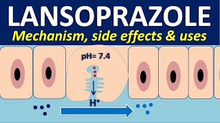 Lansoprazole  Mechanism side effects interactions and uses [upl. by Hussar397]