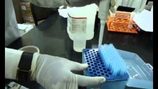 Gas chromatography mass spectrometry [upl. by Rhpotsirhc217]