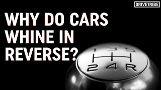 Why do cars whine in reverse – Mikes Mechanics [upl. by Darrick]