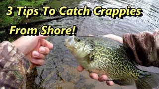 3 Crappie Fishing Tips Guaranteed To Catch Crappies From Shore [upl. by Bron]