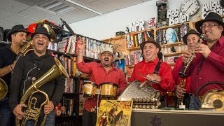 Fanfare Ciocarlia NPR Music Tiny Desk Concert [upl. by Menard]