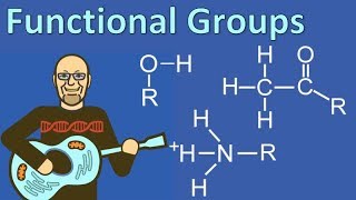 Functional Groups Explained so AP Bio Students can Understand [upl. by Eenoj850]