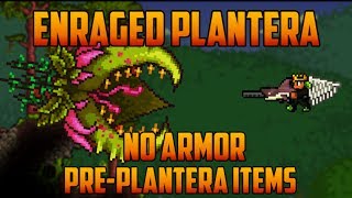 Terraria  Enraged Plantera no armor amp preplantera gear [upl. by Elirpa]