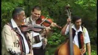 Romanian Traditional Music Suita orchestrala din Ardeal [upl. by Adelaja]