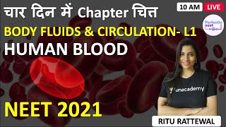 L1 Human Blood Body Fluids and Circulation  4 Din me Chapter Chitt  NEET 2021  Ritu Rattewal [upl. by Iaw559]