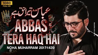 Abbasas Tera Haq Hai  Mir Hasan Mir  New Noha 2017 1439 HD [upl. by Enela]