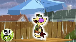 Nature Cat  🙀💧Nature Cat Is Afraid of Water  PBS KIDS [upl. by Baynebridge965]