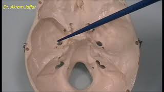 Osteology of the skull 6 cranial cavity [upl. by Intyrb]