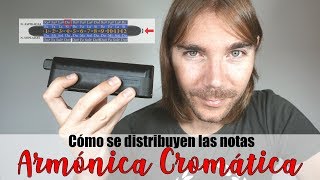 ARMÓNICA CROMÁTICA 👨🏻‍🎓 ¿Cómo se distribuyen las notas ⌨️ TUTORIAL ONLINE [upl. by Oman]