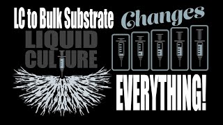 Liquid Culture Inoculation of Bulk Substrate is Possible [upl. by Nathanil]