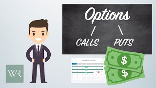 How To Use Options Calls And Puts Explained With Specific Examples [upl. by Mast]