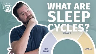 What Are Sleep Cycles  Everything You Need To Know [upl. by Zeitler]