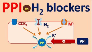 Proton pump inhibitors PPI vs H2 blockers [upl. by Wershba]