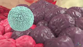 Introduction to NK Cell Immunotherapy with INKmune  Priming NK Cells [upl. by Nahem]