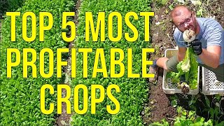 Unlock the Secret to Maximum Profits The Top 5 Most Lucrative Crops for Market Gardeners Revealed [upl. by Anuahsar719]