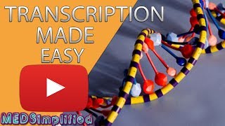 Transcription Made Easy From DNA to RNA 2019 [upl. by Hillie650]