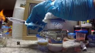 How toTurning 1 Spore Syringe into 10 Pure Liquid Culture [upl. by Akerehs]