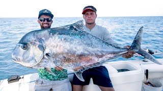 MASSIVE African Pompano amp Amberjacks [upl. by Juliana]