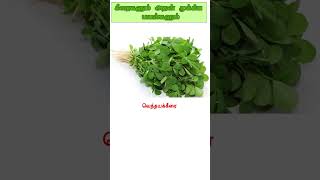 கீரை வகைகளும் அதன் பயன்களும்  About Greens Benefits Part 3 [upl. by Annahsit]