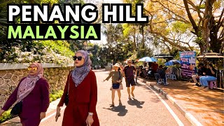 A Day at Penang Hill and the Habitat  Malaysia [upl. by Biamonte]