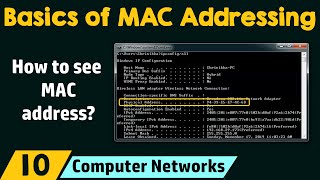 Basics of MAC Addressing [upl. by Chellman]