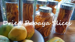 Dried Papayas from my Garden  Raw Vegan Snack [upl. by Riffle]