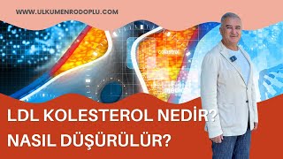 LDL KOLESTEROL NEDİR NASIL DÜŞÜRÜLÜR [upl. by Adias889]