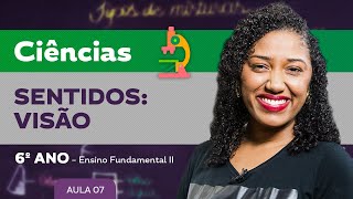 Sentidos visão – Ciências – 6º ano – Ensino Fundamental [upl. by Clem221]