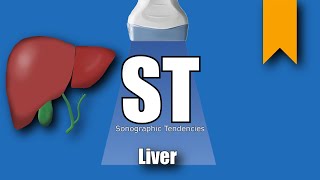 Liver Ultrasound Protocol [upl. by Ddarb]