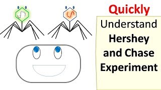 Hershey and Chase experiment [upl. by Nos]