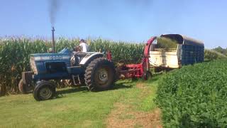 Straight Piped Ford 8600 Chopping Corn Silage [upl. by Annaliese]