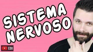 SISTEMA NERVOSO  FISIOLOGIA  Aula  Biologia com Samuel Cunha [upl. by Mundt]