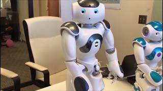 First Impression  SoftBank Robotics Nao V6 [upl. by Colb]