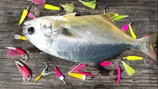 Catching Pompano on Jigs and Teaser Lures [upl. by Vivianne]