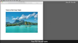 How To Type On A PDF Document on Mac Tutorial [upl. by Gaston]