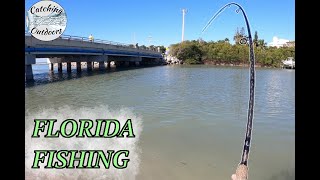 Florida Inshore Fishing Fort Myers amp Sanibel Island MultiSpecies [upl. by Rap717]