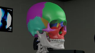 Chapter 1 Basic Sinus Anatomy [upl. by Toole82]