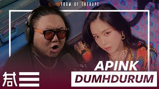 The Kulture Study Apink quotDumhdurumquot MV [upl. by Menedez]