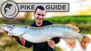 A Beginners Guide To Pike Fishing  Tactics Bait Lures Rigs and Unhooking [upl. by Kato]