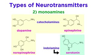 Neurotransmitters Type Structure and Function [upl. by Gnilrad]