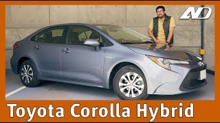 Toyota Corolla Híbrido ⭐️  Sorprendente evolución y el mejor híbrido por el precio [upl. by Onitnevuj733]