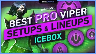 Best PRO Viper SETUPS amp LINEUPS on ICEBOX Walls Snake Bite Poison Cloud Ultimate [upl. by Ahsienad]