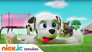 PAW Patrol  ¡Día superdivertido arriba arriba y vamos  Nick Jr en Español [upl. by Ahsoek537]