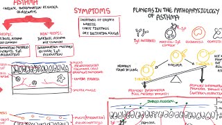 Blindness Causes Signs and Symptoms Diagnosis and Treatment [upl. by Adneram]