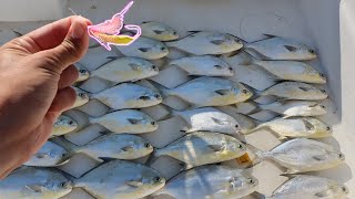 WEIRD Looking Lure Catches Hundreds Of Fish Goofy Jig Pompano Fishing [upl. by Mode]