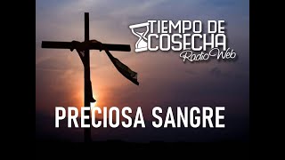 PRECIOSA SANGRE  CESAR DARIO Letra [upl. by Aman]