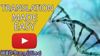 DNA Translation Made Easy [upl. by Marashio492]