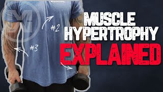 Muscle Hypertrophy Explained How to get MASSIVE Gains [upl. by Ennyrb988]