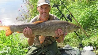 BIG BARBEL FISHING ON THE RIVER TRENT AT FISKERTON  VIDEO 58 [upl. by Onifled]