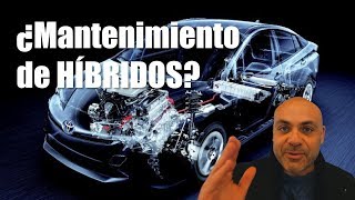 Mantenimiento de un híbrido ¿Es más caro o más barato [upl. by Pincas]